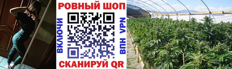 Сколько стоит Калининград Кокаин  Alpha PVP  ссылка на мегу сайт  Каннабис 