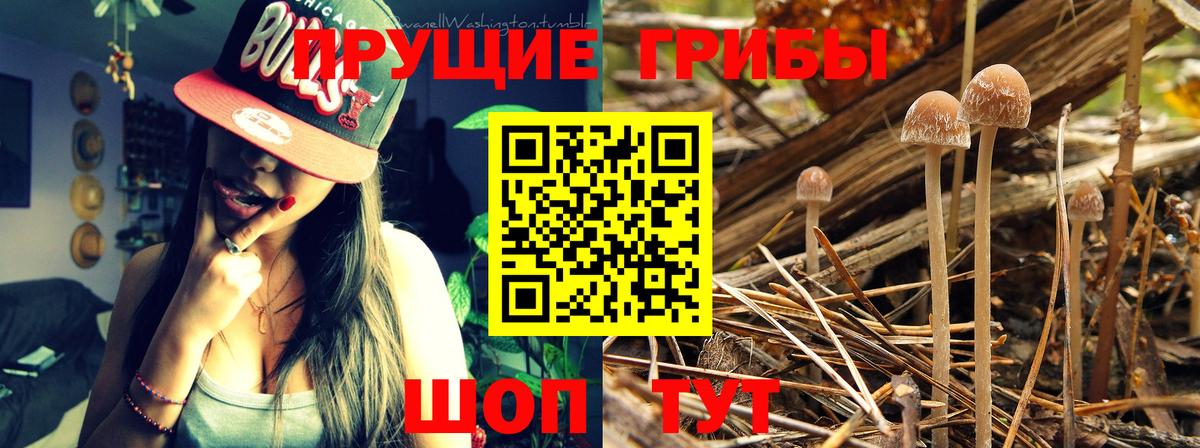 Галлюциногенные грибы MAGIC MUSHROOMS  Галлюциногенные грибы мицелий  Вход с VPN  Калининград 